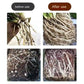 💥BUY 2 GET 1 FREE💥Universal Plant Rapid Rooting Liquid Fertilizer