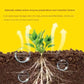 💥BUY 2 GET 1 FREE💥Universal Plant Rapid Rooting Liquid Fertilizer
