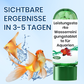 ♻️💧Leistungsstarke Wasserreinigungstablette für Aquarien