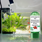 ♻️💧Leistungsstarke Wasserreinigungstablette für Aquarien