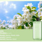 🔥🌸Limit 50% Rabatt 🔥Automatischer Aromatherapie Diffusor（Großes Angebot）