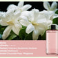 🔥🌸Limit 50% Rabatt 🔥Automatischer Aromatherapie Diffusor（Großes Angebot）