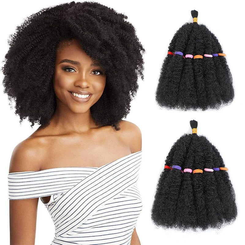🔥2025 Heißer Verkauf👩‍🦱12 Inch Kinky Twist Flechtfrisur