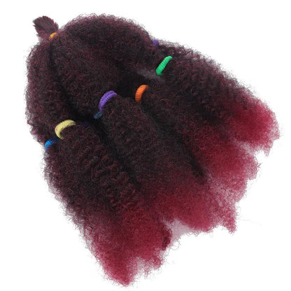 🔥2025 Heißer Verkauf👩‍🦱12 Inch Kinky Twist Flechtfrisur