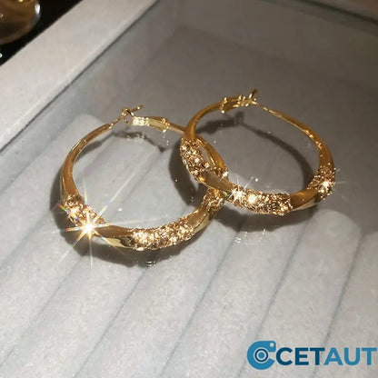 🌸🌸🌸Der Vorverkauf läuft!!! Wer zuerst kauft, bekommt zuerst!！！Circle Earrings with Zirconia