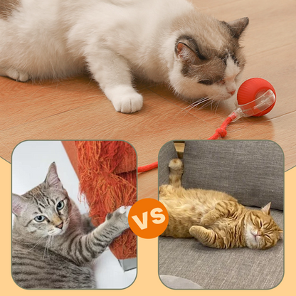 🔥Intelligent Chirping Rolling Interactive Cat Toy Ball
