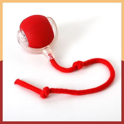 🔥Intelligent Chirping Rolling Interactive Cat Toy Ball