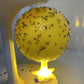 🚫🪰🦟Klebefalle Fruchtfliegen-Fangball mit Ständer LED- Ungiftig & Wiederverwendbar | Küche, Büro, Innenbereich