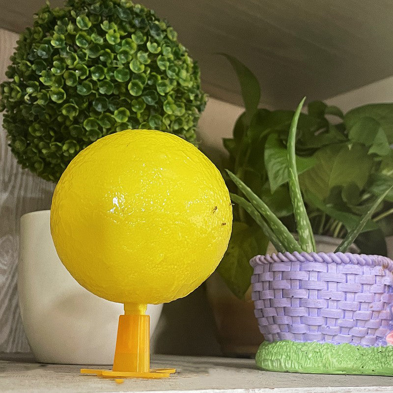 🚫🪰🦟Klebefalle Fruchtfliegen-Fangball mit Ständer LED- Ungiftig & Wiederverwendbar | Küche, Büro, Innenbereich