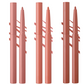 🌸💐Wasserfestes Matte Lip Liner Set in 12 Farben