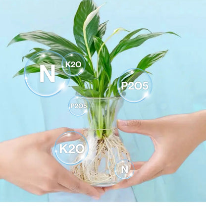 Hydrokultur-Nährlösung: Wachstumsbooster für Pflanzen 🌱⚗️💚