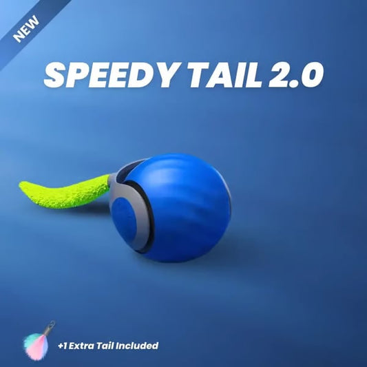 SPEEDY TAIL 2.0🔥Der neue König unter interaktiven Ball-Spielzeugen für Katzen🔥