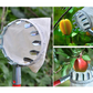 🍎🧺 50% RABATT! Obstpflücker Hauptkorb – Müheloses Ernten von Äpfeln, Birnen & Kirschen ohne Leiter 🌳✨