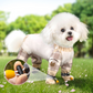 ⏳Begrenzte Zeit 50% Rabatt💥Staubdichte Outdoor-Hose für Hunde