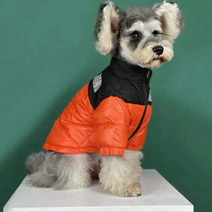 🐕The Dog Face Explorer Designer Hunde-Winter-Pufferjacke