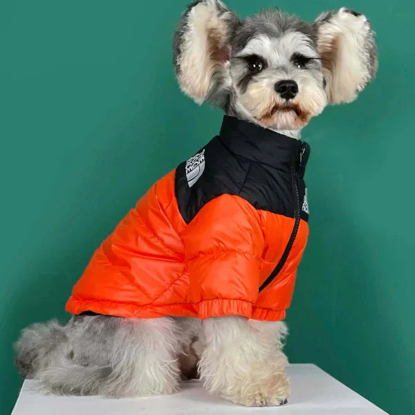 🐕The Dog Face Explorer Designer Hunde-Winter-Pufferjacke