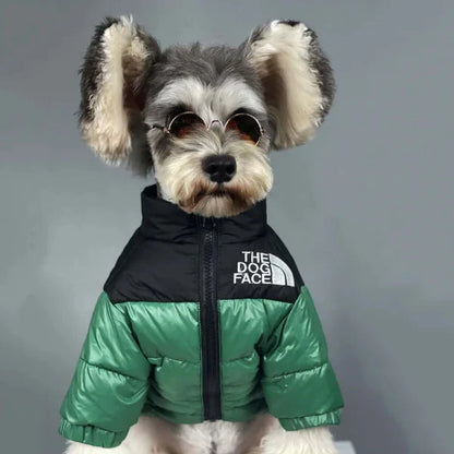 🐕The Dog Face Explorer Designer Hunde-Winter-Pufferjacke