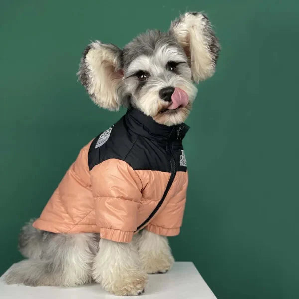 🐕The Dog Face Explorer Designer Hunde-Winter-Pufferjacke