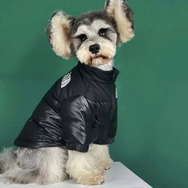 🐕The Dog Face Explorer Designer Hunde-Winter-Pufferjacke