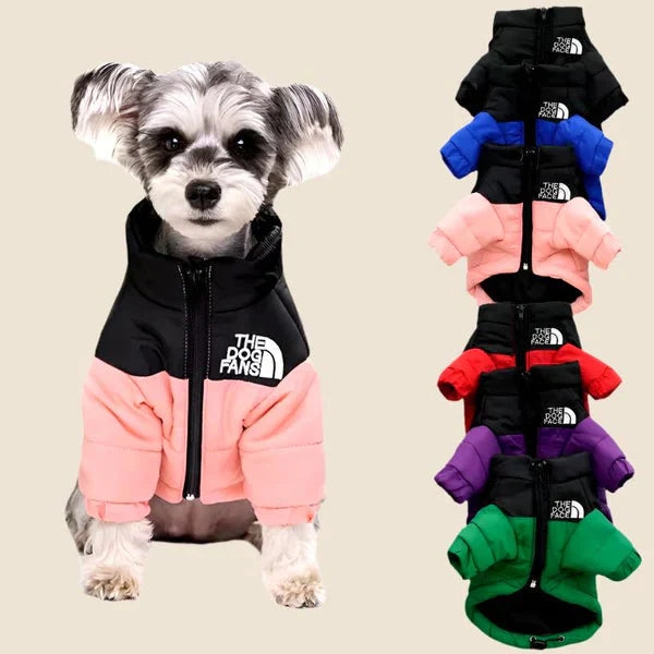 🐕The Dog Face Explorer Designer Hunde-Winter-Pufferjacke