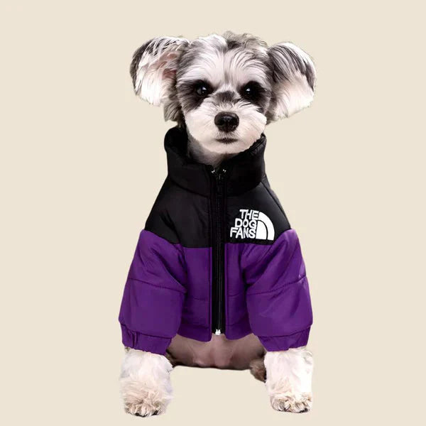 🐕The Dog Face Explorer Designer Hunde-Winter-Pufferjacke