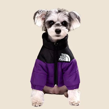 🐕The Dog Face Explorer Designer Hunde-Winter-Pufferjacke