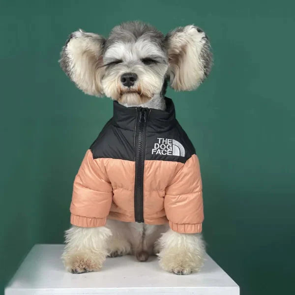 🐕The Dog Face Explorer Designer Hunde-Winter-Pufferjacke