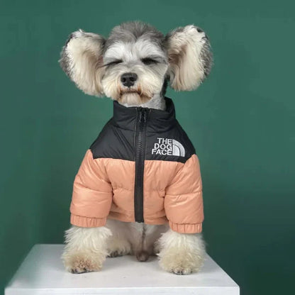 🐕The Dog Face Explorer Designer Hunde-Winter-Pufferjacke