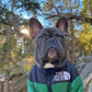 🐕The Dog Face Explorer Designer Hunde-Winter-Pufferjacke