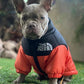 🐕The Dog Face Explorer Designer Hunde-Winter-Pufferjacke