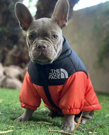 🐕The Dog Face Explorer Designer Hunde-Winter-Pufferjacke
