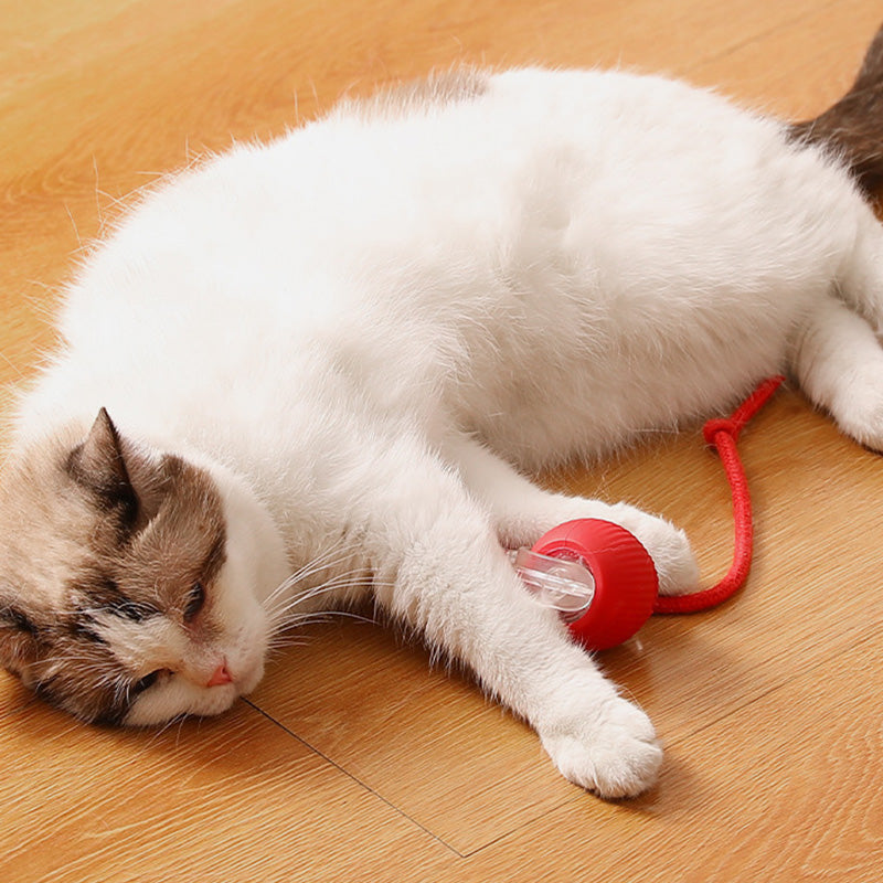🐾🔥 Intelligenter selbstrollender Ball – Hindernissensor, aufladbar & leicht – Perfekt für Hunde & Katzen – 3 Farben, interaktiver Spielspaß für drinnen und draußen 🎾