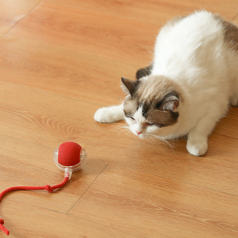🐾🔥 Intelligenter selbstrollender Ball – Hindernissensor, aufladbar & leicht – Perfekt für Hunde & Katzen – 3 Farben, interaktiver Spielspaß für drinnen und draußen 🎾
