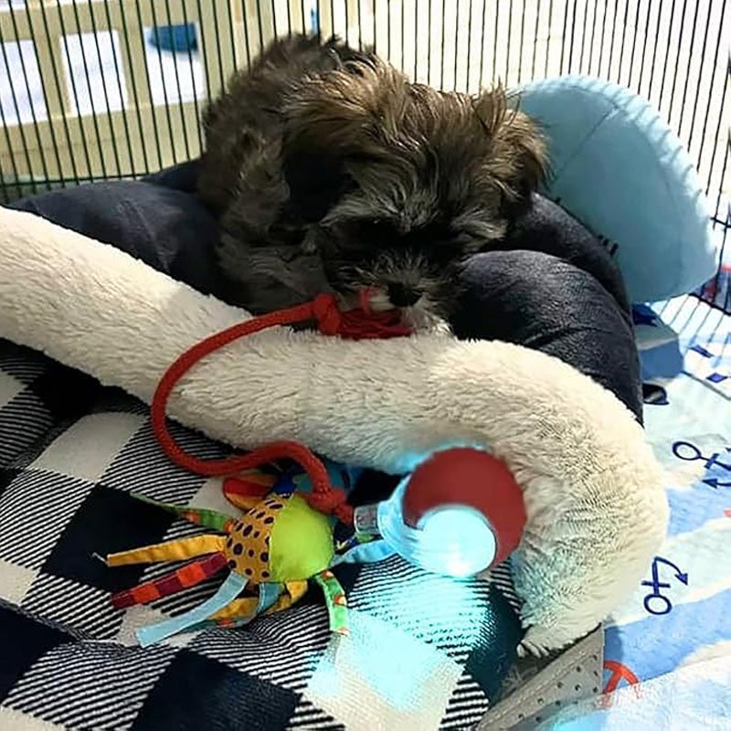 🐾🔥 Intelligenter selbstrollender Ball – Hindernissensor, aufladbar & leicht – Perfekt für Hunde & Katzen – 3 Farben, interaktiver Spielspaß für drinnen und draußen 🎾