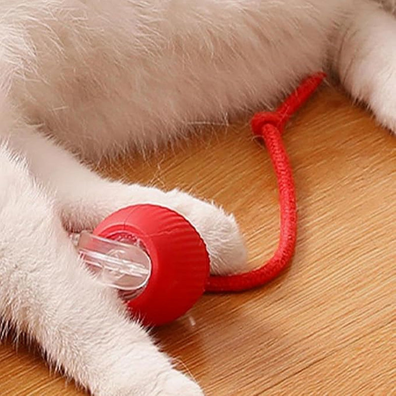 🐾🔥 Intelligenter selbstrollender Ball – Hindernissensor, aufladbar & leicht – Perfekt für Hunde & Katzen – 3 Farben, interaktiver Spielspaß für drinnen und draußen 🎾
