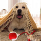 🐾🔥 Intelligenter selbstrollender Ball – Hindernissensor, aufladbar & leicht – Perfekt für Hunde & Katzen – 3 Farben, interaktiver Spielspaß für drinnen und draußen 🎾
