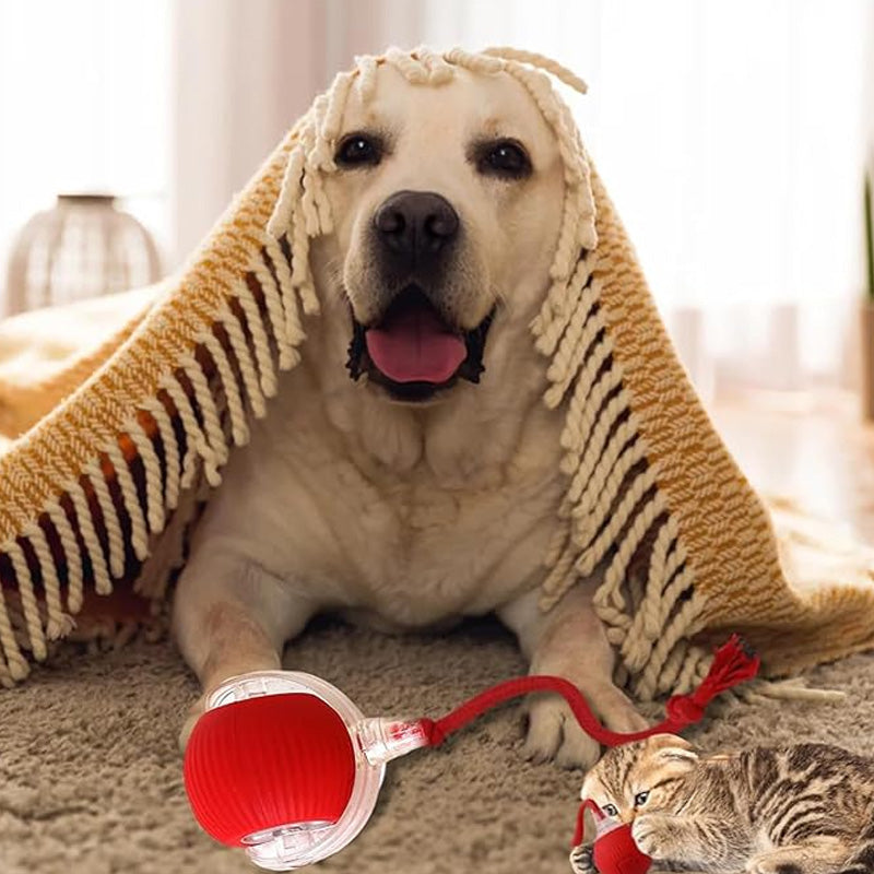 🐾🔥 Intelligenter selbstrollender Ball – Hindernissensor, aufladbar & leicht – Perfekt für Hunde & Katzen – 3 Farben, interaktiver Spielspaß für drinnen und draußen 🎾