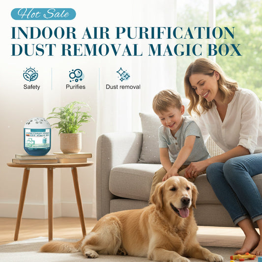 🌬️✨ Indoor Luftreinigung Staub Entfernung Magic Box