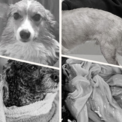 🐕 50% RABATT! 🔥 Weicher, Saugfähiger & Schnelltrocknender Hundebademantel – Kuscheliges Fleece, Verstellbarer Klettverschluss & Ideal Für Nach Dem Baden Oder Spaziergang Im Regen 🌧️