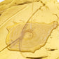 🎨 50% RABATT JETZT ! ✨ Wasserbasierte Goldfarbe mit Höchster Wetterbeständigkeit – Einfache Anwendung, Umweltfreundlich & Elegante Dekoration 🏠