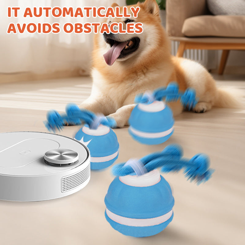 ⚡55 % RABATT !!⚡Interactive Rolling Cat Ball with Bird Sounds