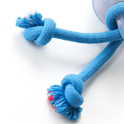 ⚡55 % RABATT !!⚡Interactive Rolling Cat Ball with Bird Sounds