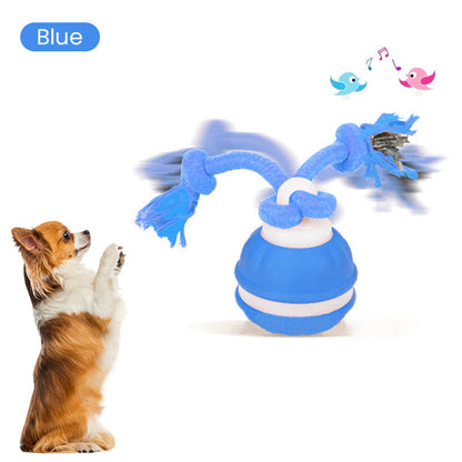 ⚡55 % RABATT !!⚡Interactive Rolling Cat Ball with Bird Sounds