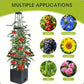 🌱 Gartenhochbeet Pflanzkästen mit Rankgitter｜Perfekt für Kletterpflanzen und Gemüseanbau