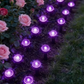 💡🌿  Solarbetriebene Gartenwegleuchten – Automatisches Ein/Aus, wasserdicht & perfekt für Wege, Einfahrten & Terrassen ✨
