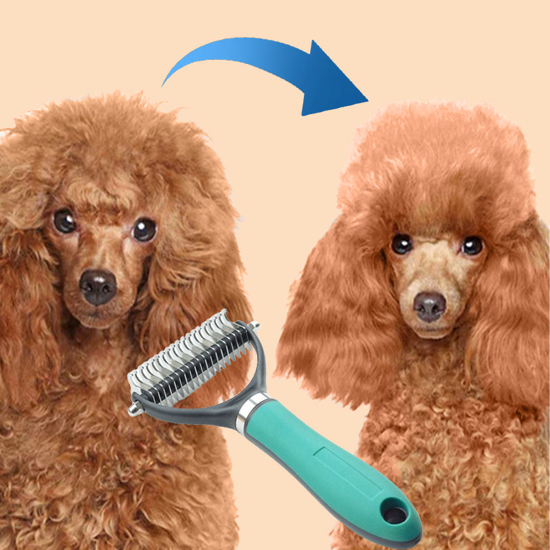 🐾 SPEZIALANGEBOT: 50% RABATT! 🐱 Doppelseitige Fellpflege-Enthaarbürste – Effektiv gegen Losehaar, Sanft zur Haut ✨