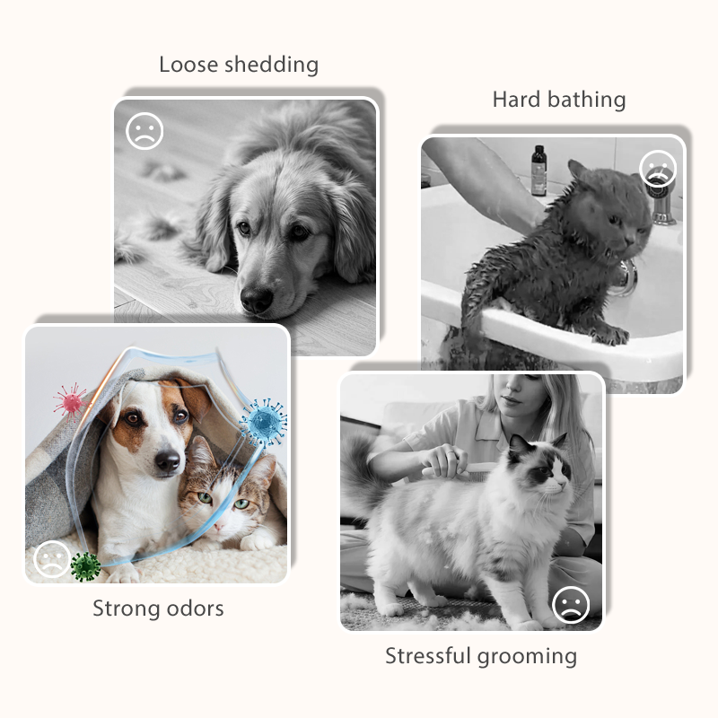 ✨🛁Pflegehandschuhtücher für Hunde und Katzen – 6 Stück/Packung
