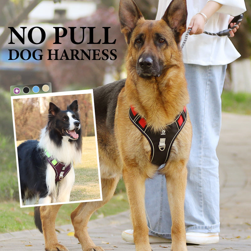 🐕 50% RABATT! ✨ Hundegeschirr ohne Zugkraft mit Leine und LED-Halsband – Vorderer D-Ring, Reflektierend, Verstellbar 🦮