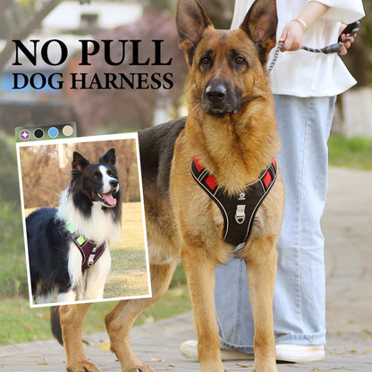 🐕 50% RABATT! ✨ Hundegeschirr ohne Zugkraft mit Leine und LED-Halsband – Vorderer D-Ring, Reflektierend, Verstellbar 🦮