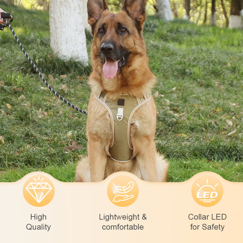 🐕 50% RABATT! ✨ Hundegeschirr ohne Zugkraft mit Leine und LED-Halsband – Vorderer D-Ring, Reflektierend, Verstellbar 🦮